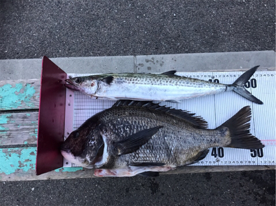 1/14武庫川一文字