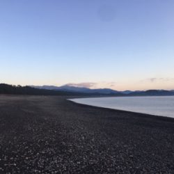 大里松原海岸 ショアジギングでモンゴウイカ1.2kg