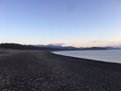 大里松原海岸 ショアジギングでモンゴウイカ1.2kg