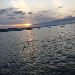 型が小さい！！