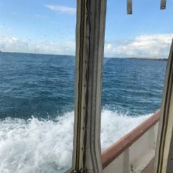 昨日、今日2日間の釣り合宿