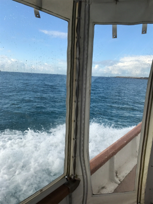 昨日、今日2日間の釣り合宿