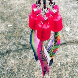 伊根〜舞鶴まで極寒ヤリイカランガンエギング