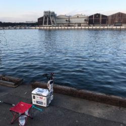 エビ撒きで、ハネ‼︎