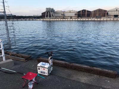 エビ撒きで、ハネ‼︎