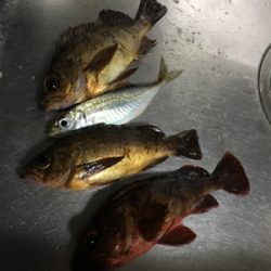 明日朝5時起きですが…