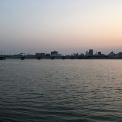 フグの活性が高い