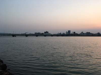 フグの活性が高い