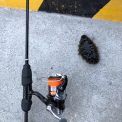 釣り日和だか…