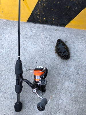 釣り日和だか…