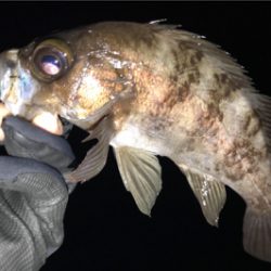 ガッツリのウェーディングのはずが…