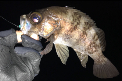 ガッツリのウェーディングのはずが…