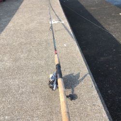 釣れたんだけどもね（苦笑）