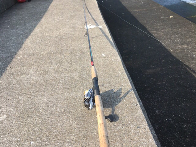 釣れたんだけどもね（苦笑）