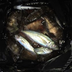 夕まづめライトゲーム