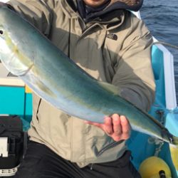 スロージギング