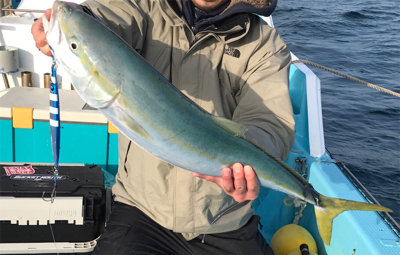 スロージギング