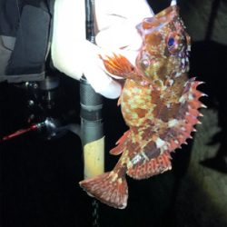 初チタンティップ(釣行 其の七)