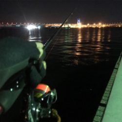 ふれーゆでメバリング