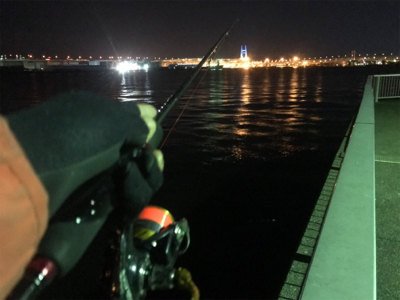 ふれーゆでメバリング