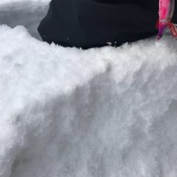 伊根から宮津までスノーランガンエギング