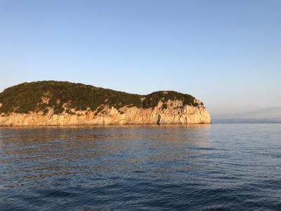 小豆島 鯛サビキ  大潮
