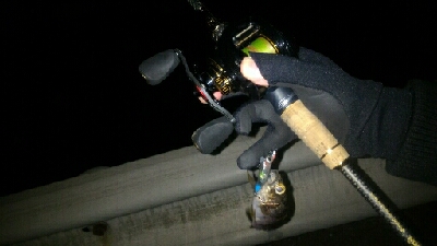 極寒ブルブル泣き尺メバル