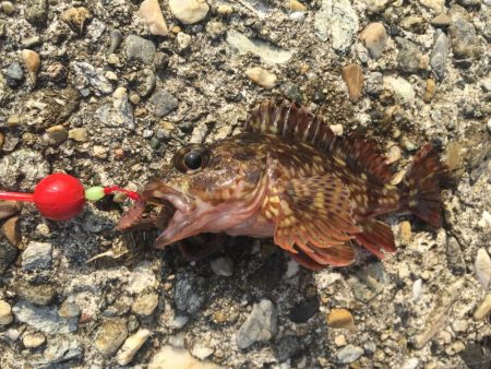 アンダースピン80を試したくて。