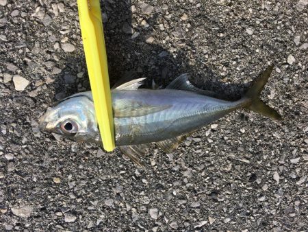 デイ・アジング