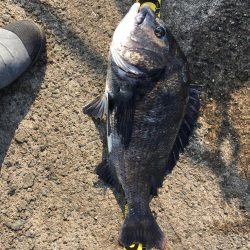 オンファースト