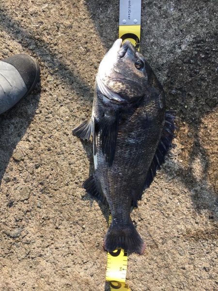 オンファースト