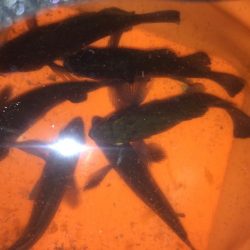 寒波襲来の前に！