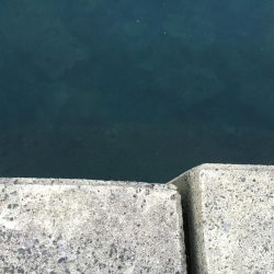 アタリは短時間