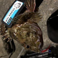 マゴバチのレッドグリゲッター間違いないです！