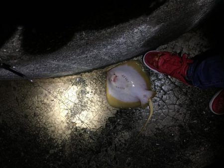 激寒期モンスターハント