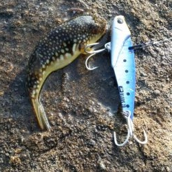 ちっこいのばっかっ！