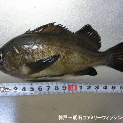 何とかボーズ逃れ