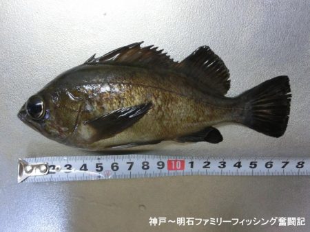 何とかボーズ逃れ