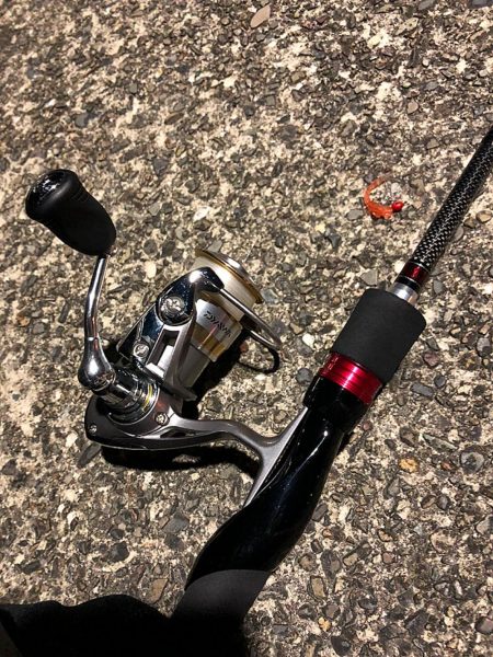 釣り初め!県南調査!セイゴ★ガシラ爆釣★