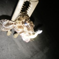 雪がちらついているなか、なんとかヒット！