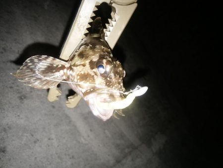 雪がちらついているなか、なんとかヒット！