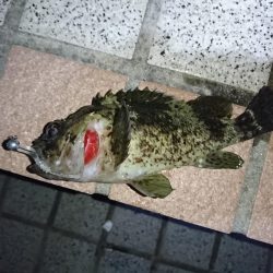 釣り初め