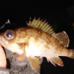 越前海岸ランガン