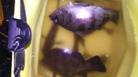 時合は突然に！