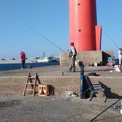 初釣行も播磨新島へ