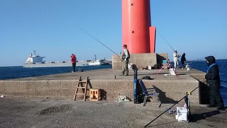 初釣行も播磨新島へ