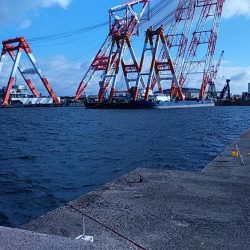 播磨新島赤灯台波止へキス釣査