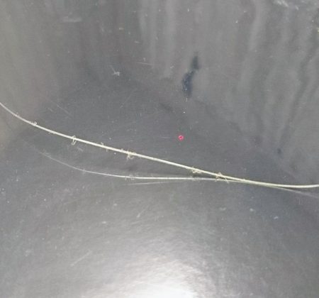 今年の初物釣れました❗ターポンです。