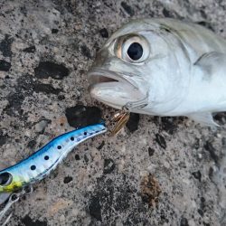 暴風の夕マズメにオニヒラアジ メタルマルでも釣れた