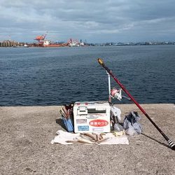 播磨新島赤灯台波止でキス狙い